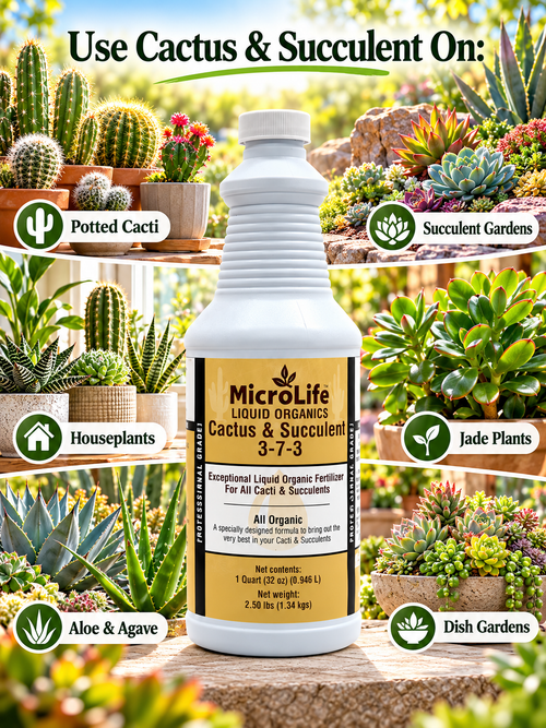 MicroLife Cactus & Succulent 3-7-3